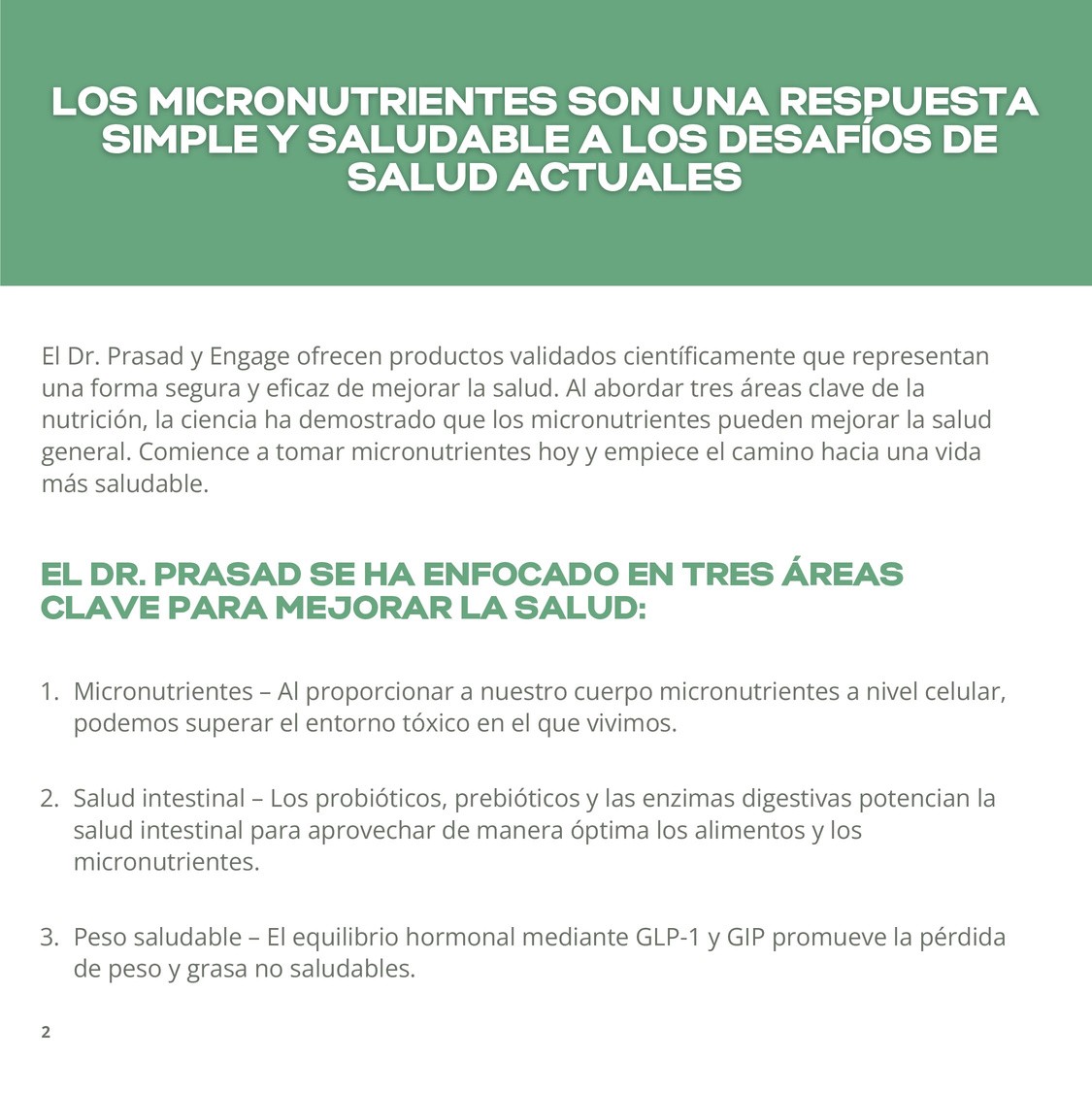 Página 1 de 19 del folleto científico en español